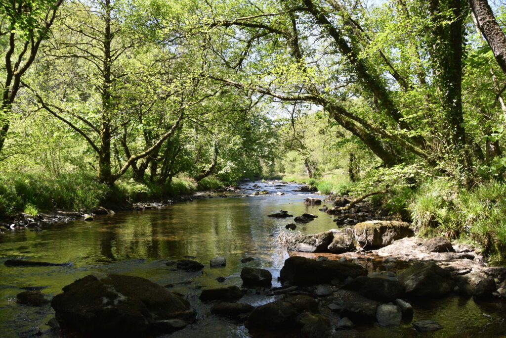 Südengland Tag 8 – Tarr Steps (Exmoor-Nationalpark)