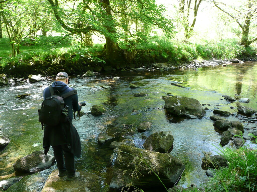Südengland Tag 8 – Tarr Steps (Exmoor-Nationalpark)