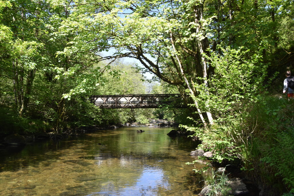 Südengland Tag 8 – Tarr Steps (Exmoor-Nationalpark)