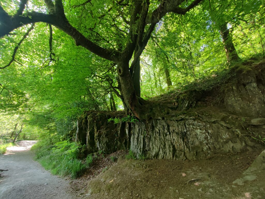 Südengland Tag 8 – Tarr Steps (Exmoor-Nationalpark)