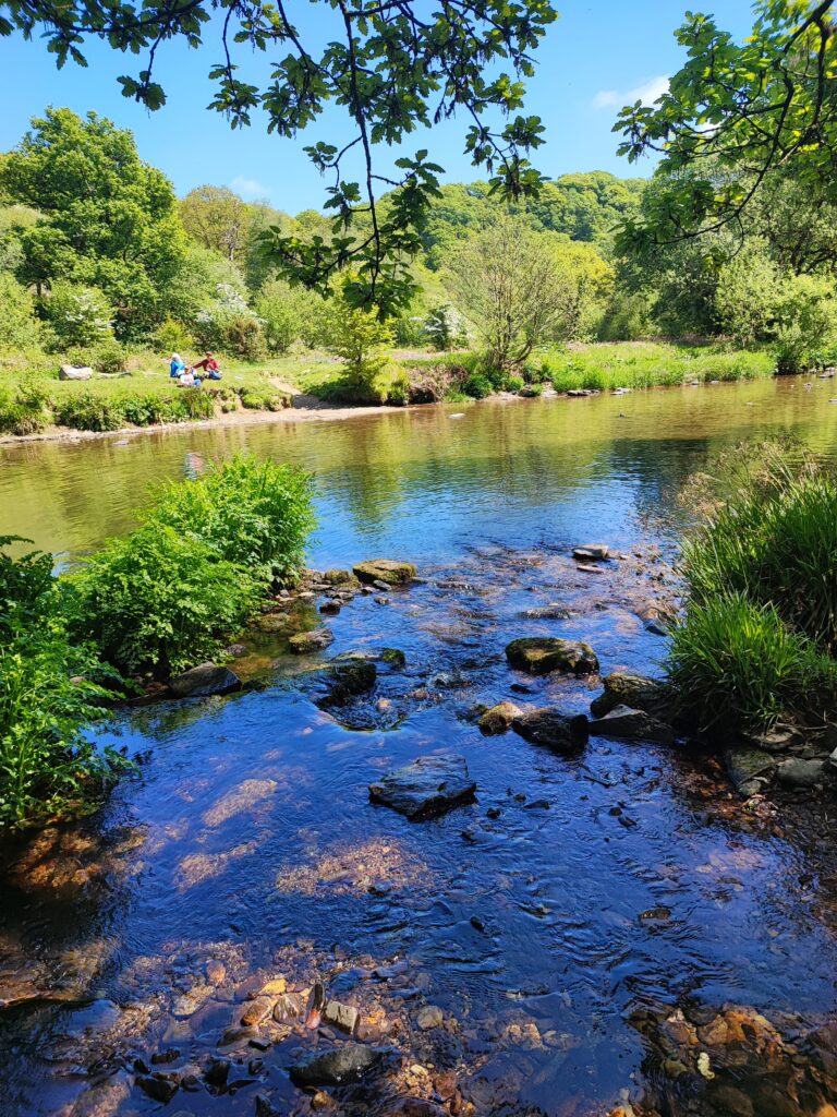 Südengland Tag 8 – Tarr Steps (Exmoor-Nationalpark)