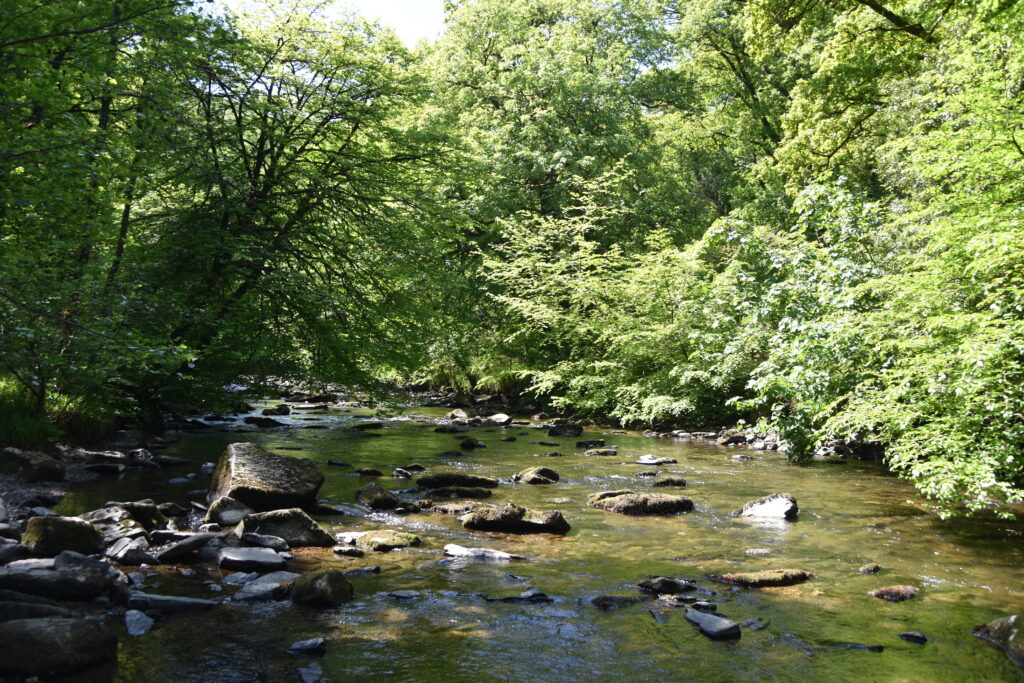 Südengland Tag 8 – Tarr Steps (Exmoor-Nationalpark)