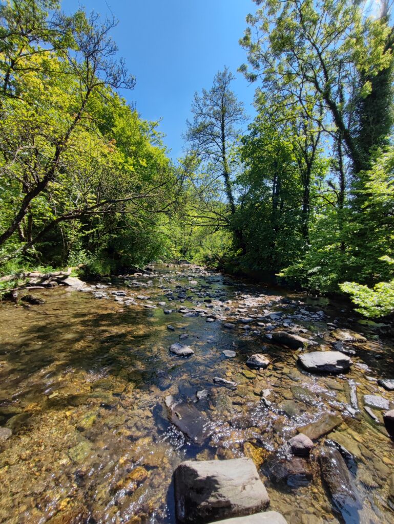 Südengland Tag 8 – Tarr Steps (Exmoor-Nationalpark)