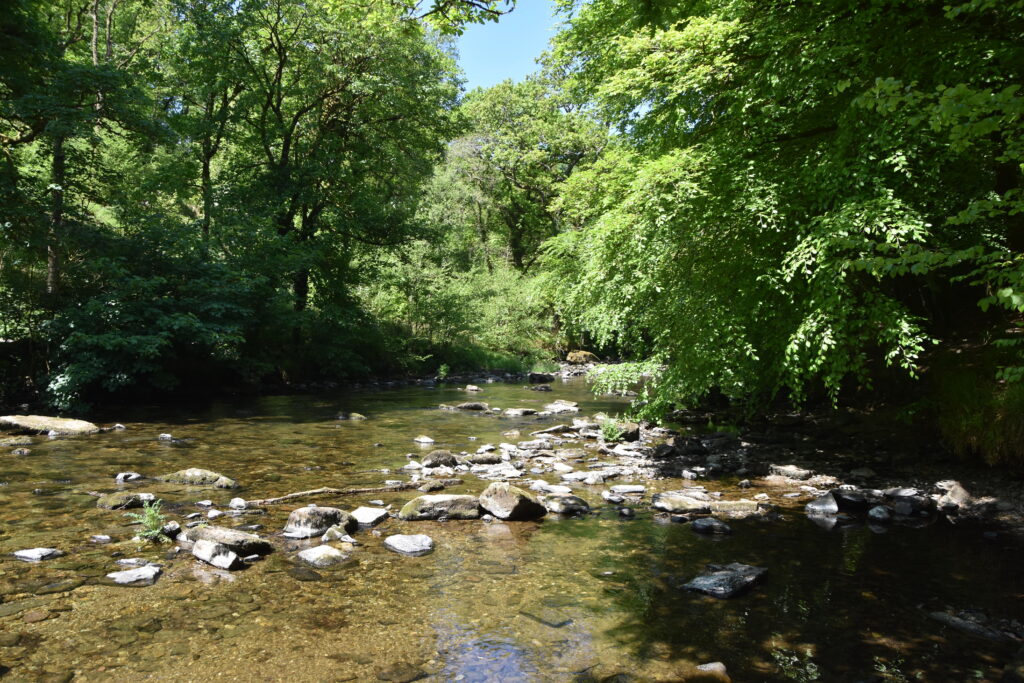 Südengland Tag 8 – Tarr Steps (Exmoor-Nationalpark)