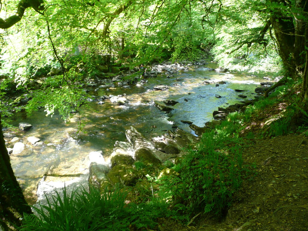 Südengland Tag 8 – Tarr Steps (Exmoor-Nationalpark)