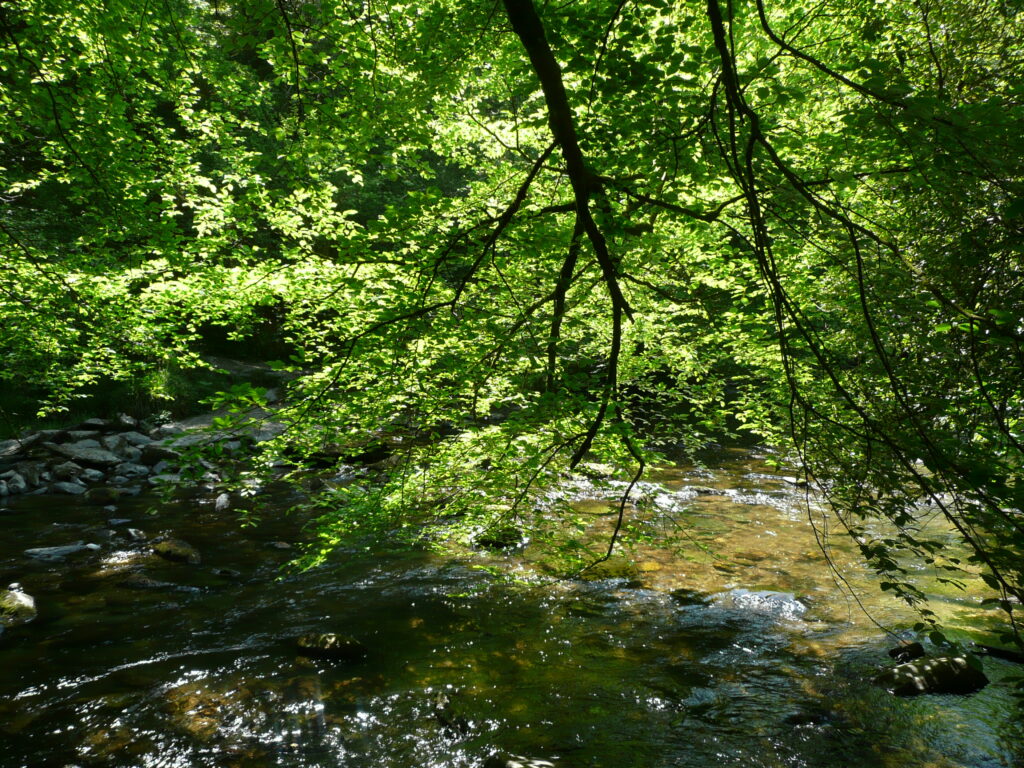 Südengland Tag 8 – Tarr Steps (Exmoor-Nationalpark)