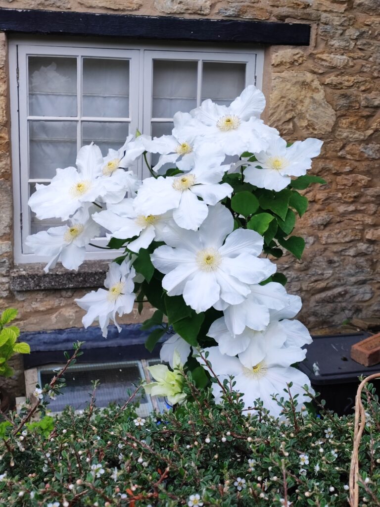 Südengland Tag 15 – Tetbury