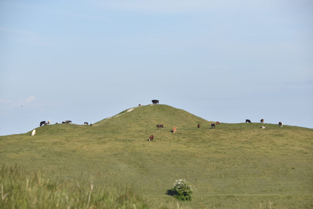 Südengland Tag 2 – Avebury