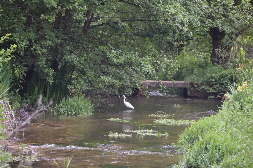 Südengland Tag 17 – Upper & Lower Slaughter