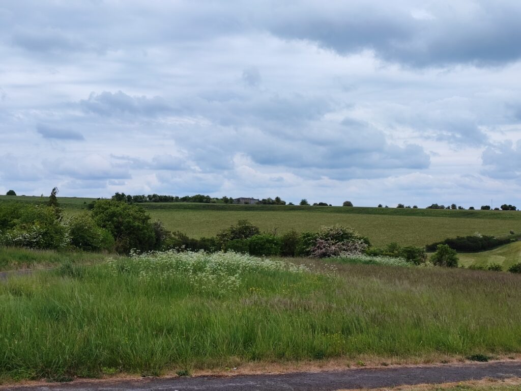 Südengland Tag 3 – Woodhenge