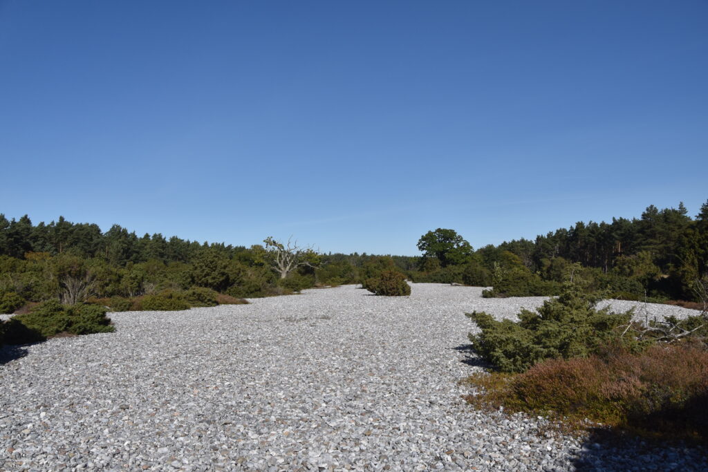 Rügen Tag 6 – Binz/Prora Feuersteinfelder