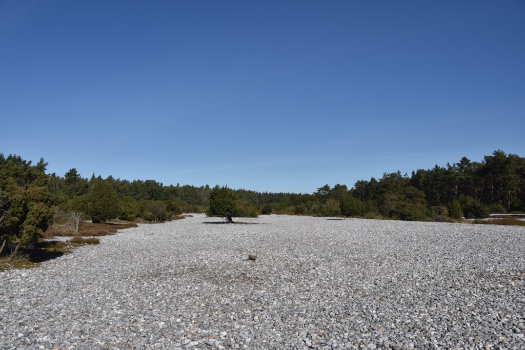 Rügen Tag 6 – Binz/Prora Feuersteinfelder