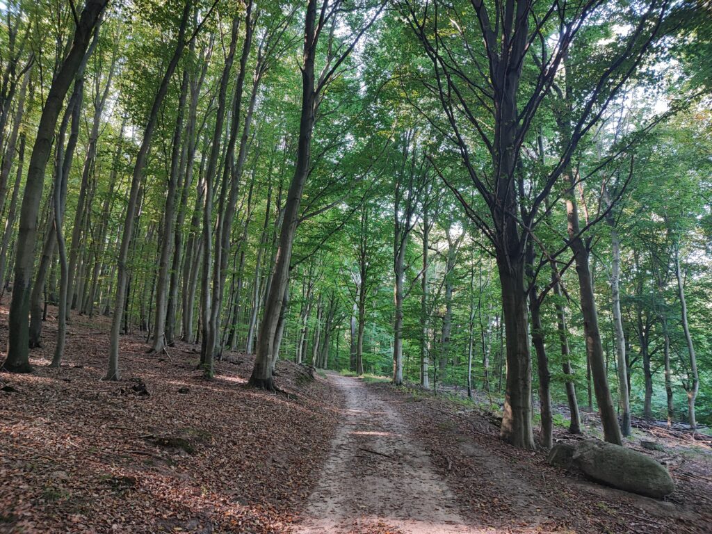 Rügen Tag 7 – Großsteingräber Lancken-Granitz