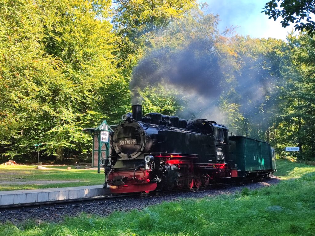 Rügen Tag 7 – Großsteingräber Lancken-Granitz