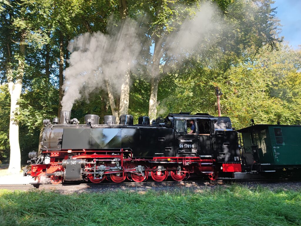 Rügen Tag 7 – Großsteingräber Lancken-Granitz