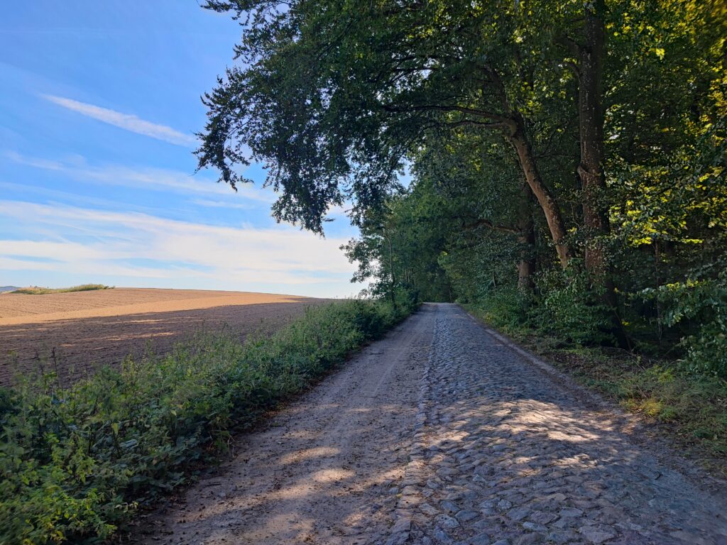 Rügen Tag 7 – Großsteingräber Lancken-Granitz