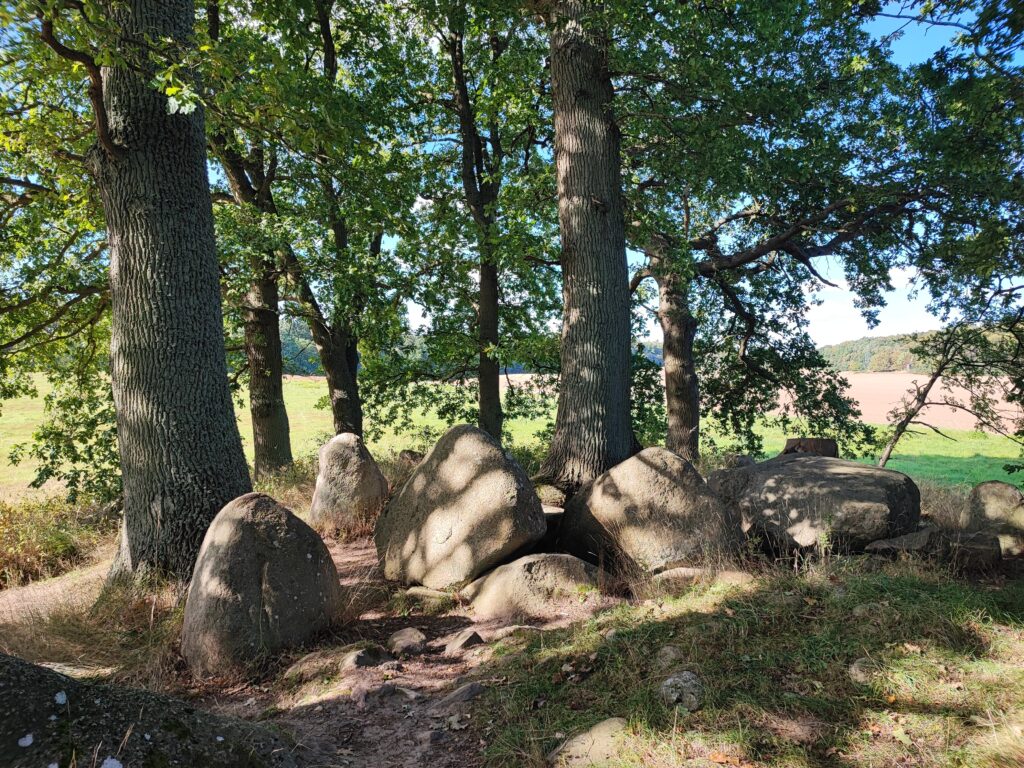 Rügen Tag 7 – Großsteingräber Lancken-Granitz