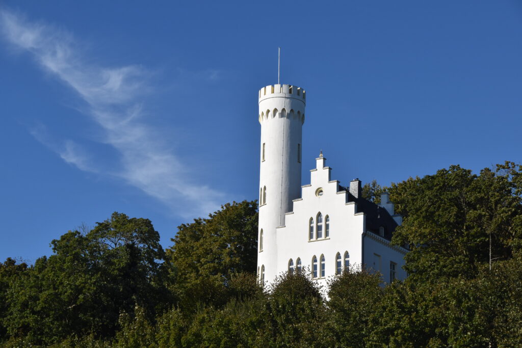 Rügen Tag 7 – Semperwald Krüppelbuchen