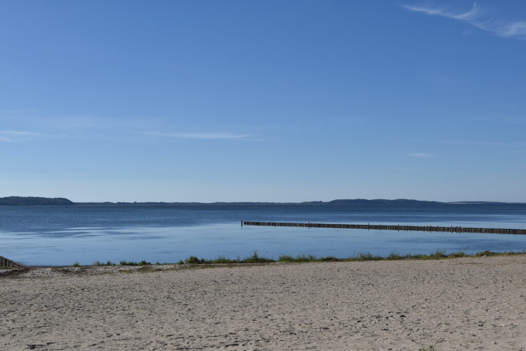 Rügen Tag 7 – Semperwald Krüppelbuchen
