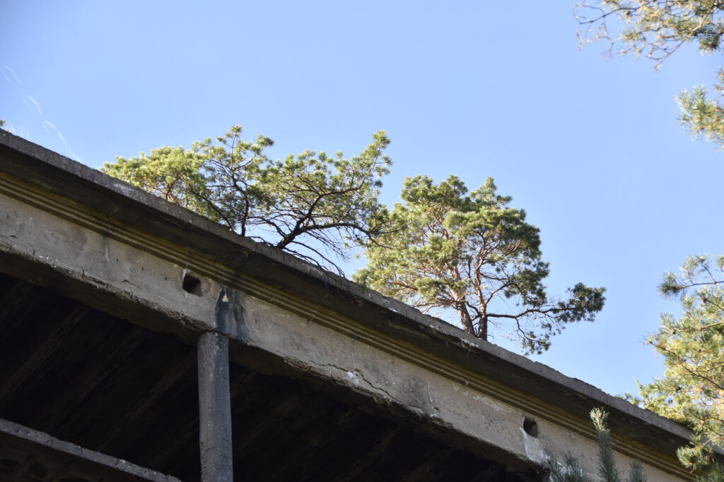 Rügen Tag 6 – Prora Ruinen (Lost Place)