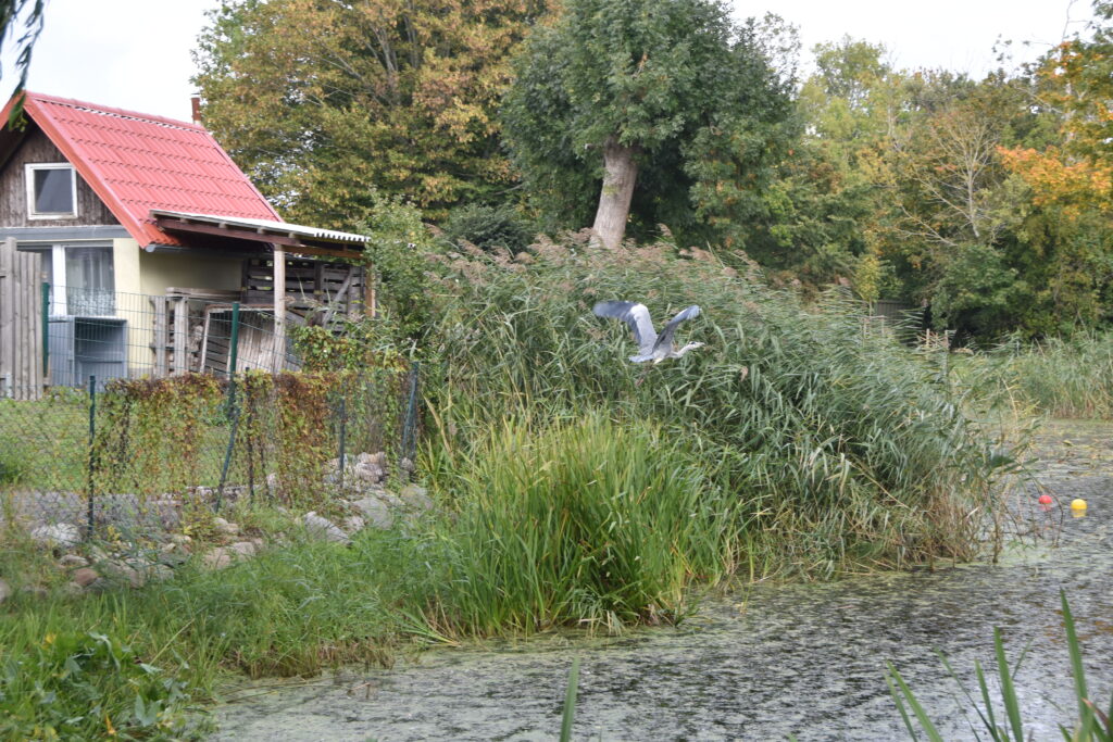 Rügen Tag 9 – Biosphärenreservat Mönchgut