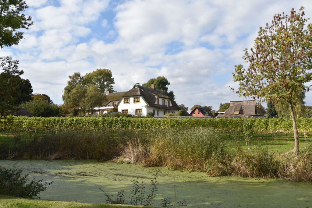 Rügen Tag 9 – Biosphärenreservat Mönchgut