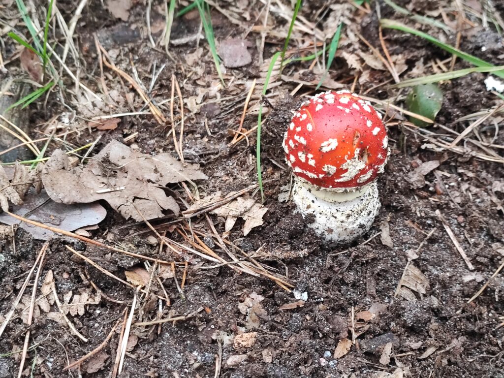 Rügen Tag 9 – Biosphärenreservat Mönchgut