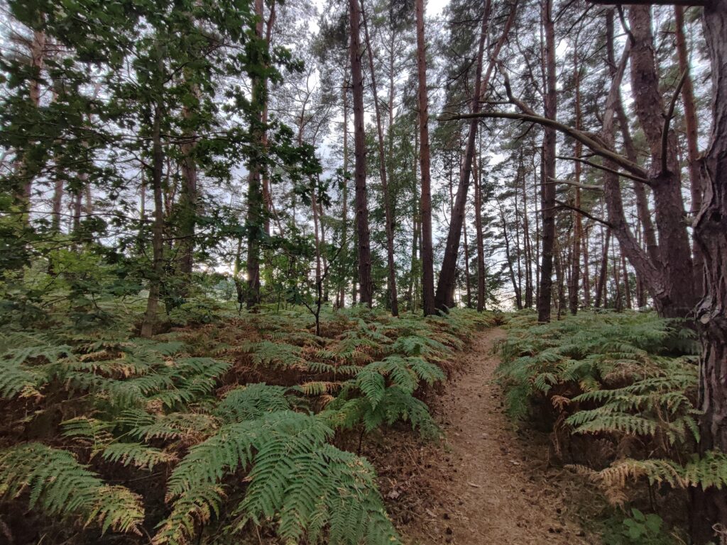 Rügen Tag 9 – Biosphärenreservat Mönchgut