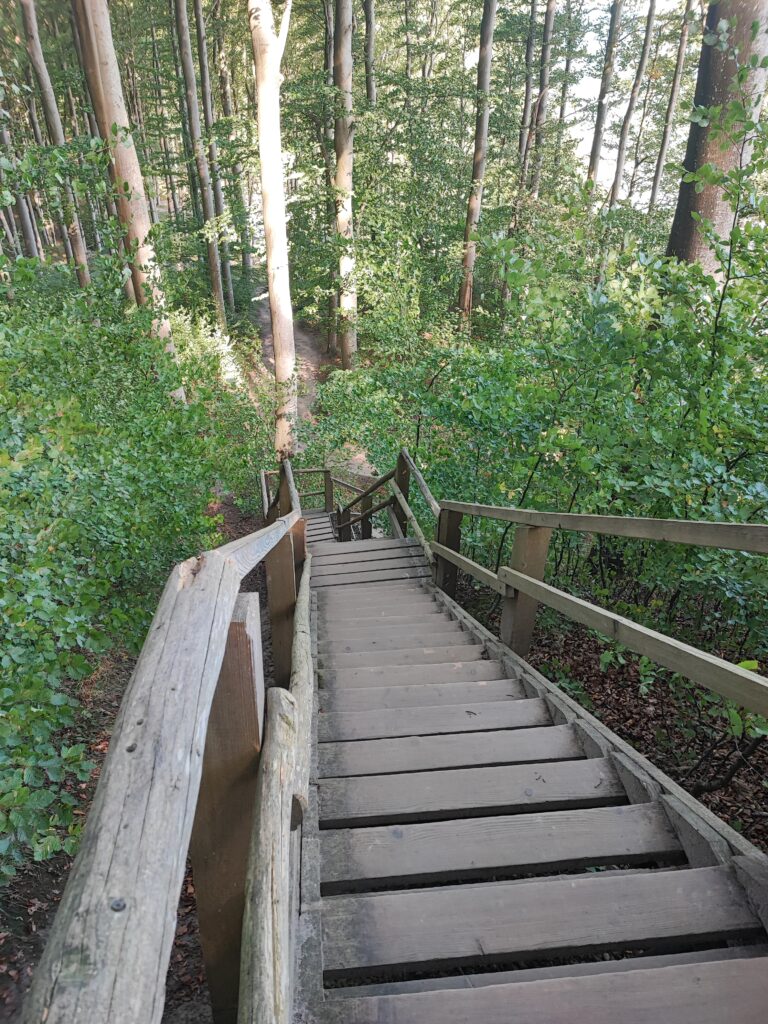 Rügen Tag 5 – Nationalpark Jasmund / Kreidefelsen