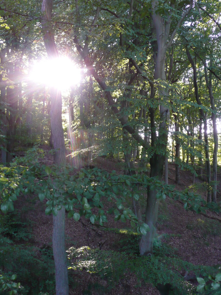 Rügen Tag 3 – Binz