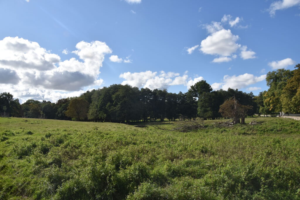 Rügen Tag 2 – Mit dem Bus nach Putbus
