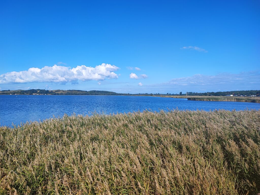 Rügen Tag 9 – Rügen-Markt Thiessow