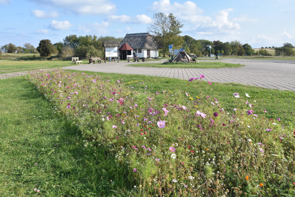 Rügen Tag 10 – Nord-Rügen – Fischerdorf Vitt, Kap Arkona