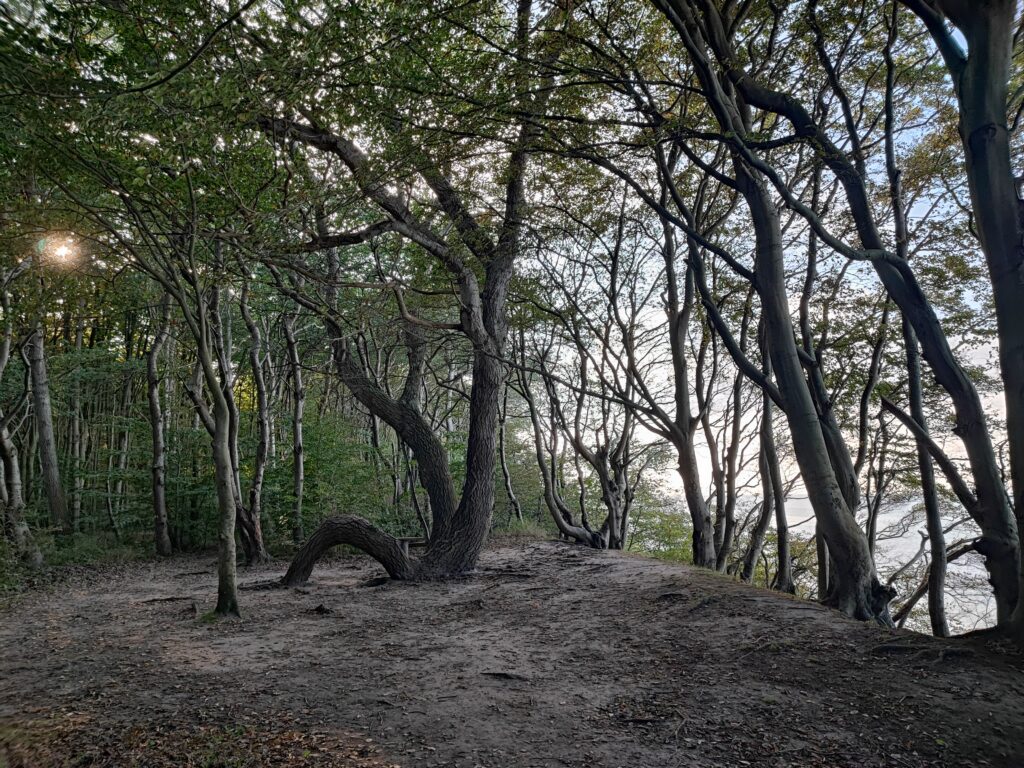 Rügen Tag 10 – Nord-Rügen – Märchenwald, Altenkirchen