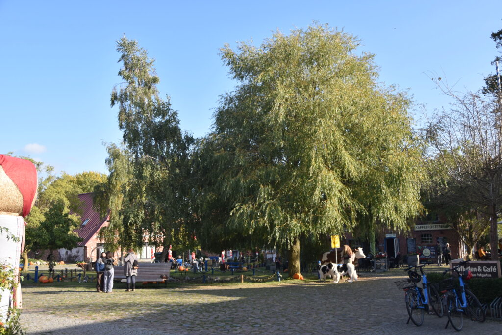 Rügen Tag 10 – Nord-Rügen – Fischerdorf Vitt, Kap Arkona