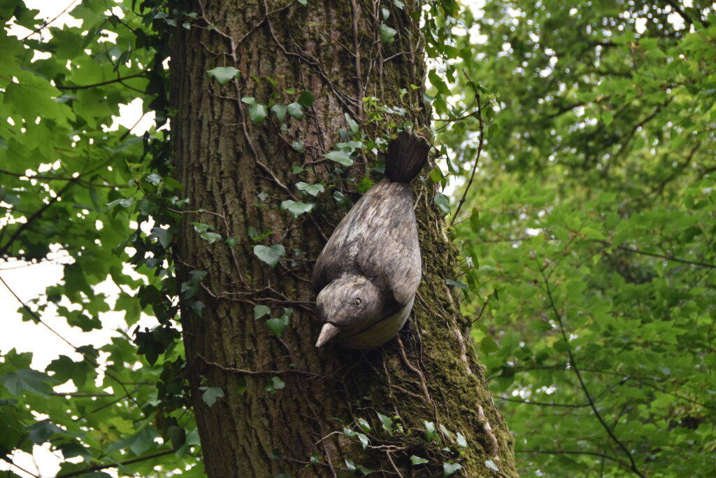 Wales Tag 9 – Colby Woodland Gardens