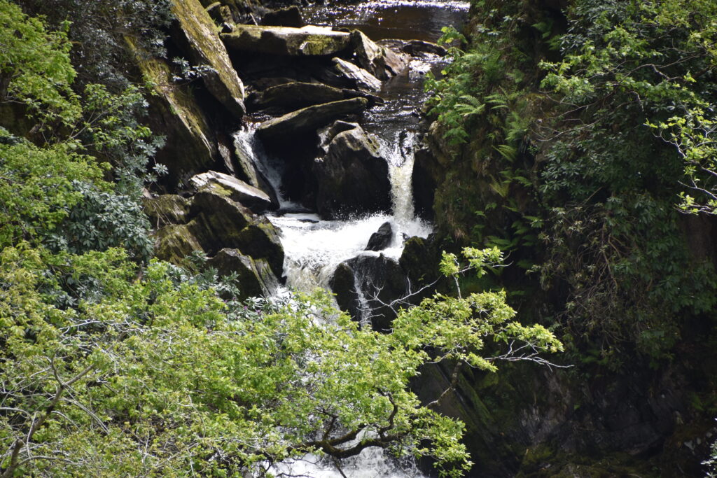 Wales Tag 14 – Devil's Bridge Waterfalls, Pontarfynach