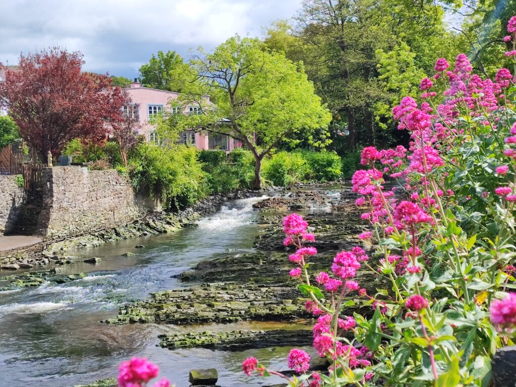 Wales Tag 13 – Aberaeron