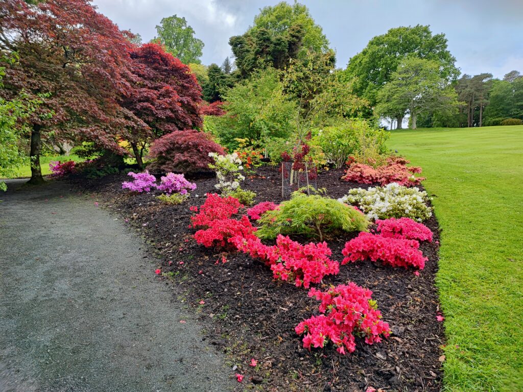 Wales Tag 18 – Plas Newydd