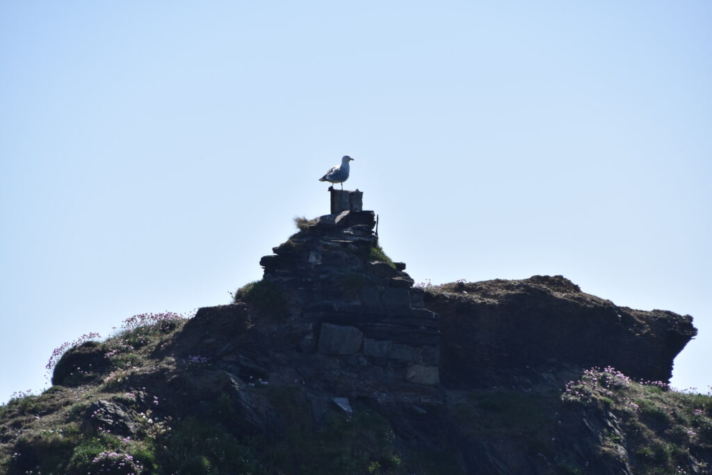 Wales Tag 11 – Blue Lagoon, Abereiddi