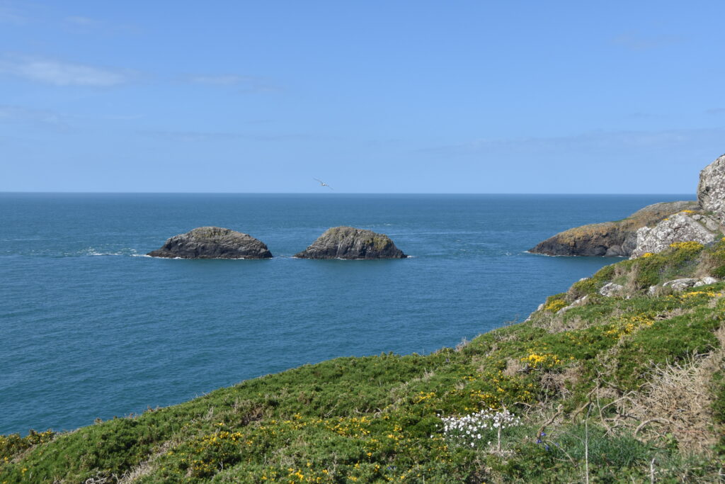 Wales Tag 11 – Blue Lagoon, Abereiddi