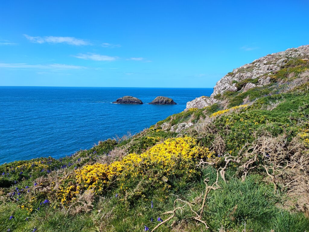 Wales Tag 11 – Blue Lagoon, Abereiddi
