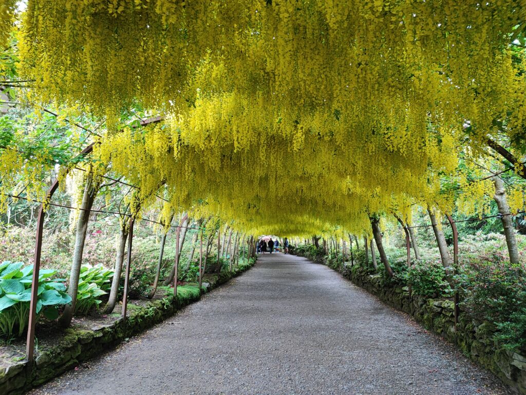 Wales Tag 20 – Bodnant Garden