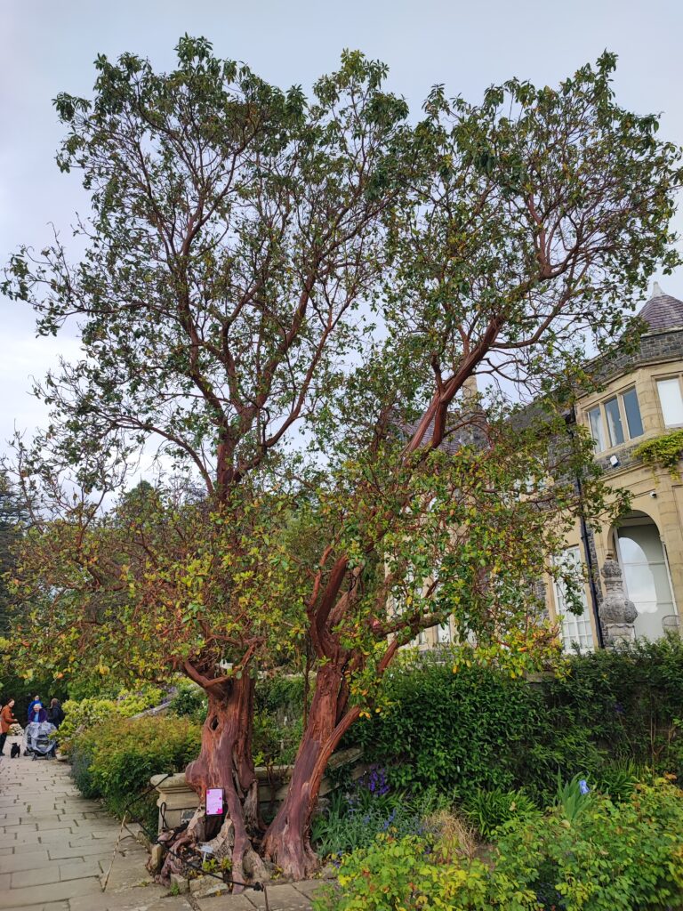 Wales Tag 20 – Bodnant Garden