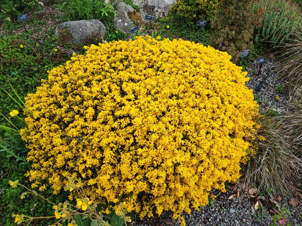 Wales Tag 20 – Bodnant Garden