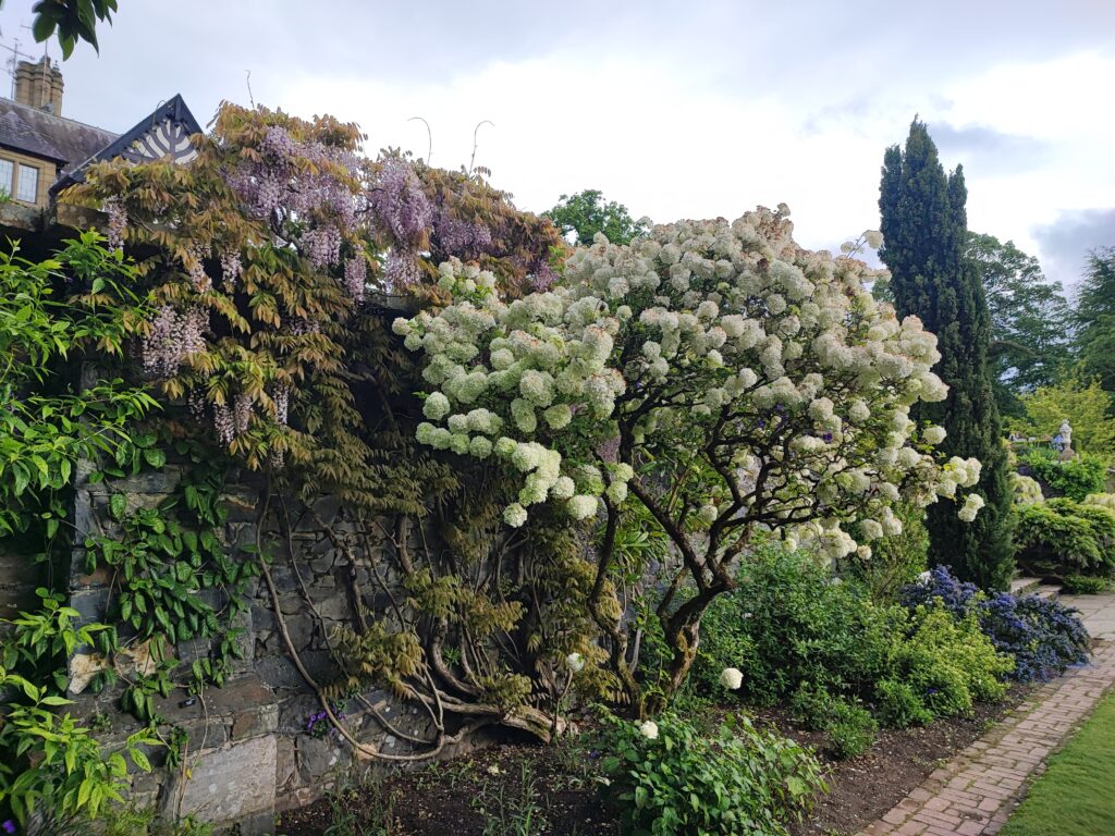 Wales Tag 20 – Bodnant Garden