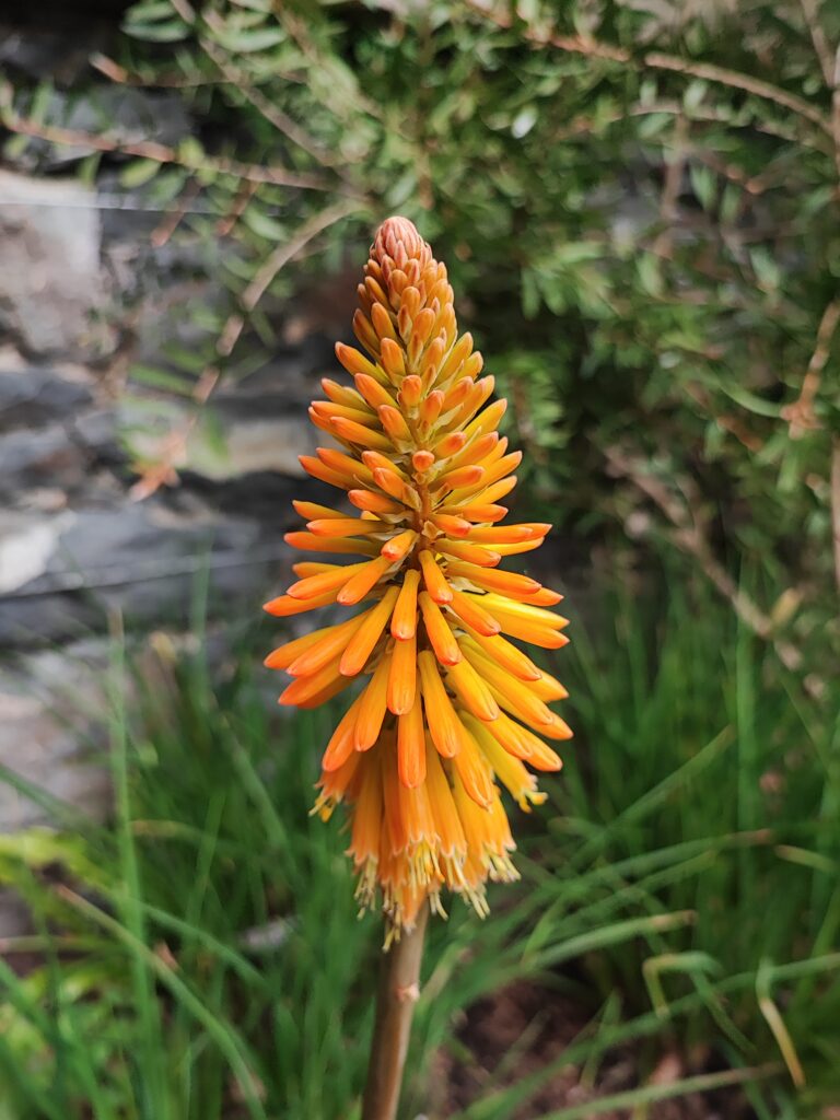 Wales Tag 20 – Bodnant Garden