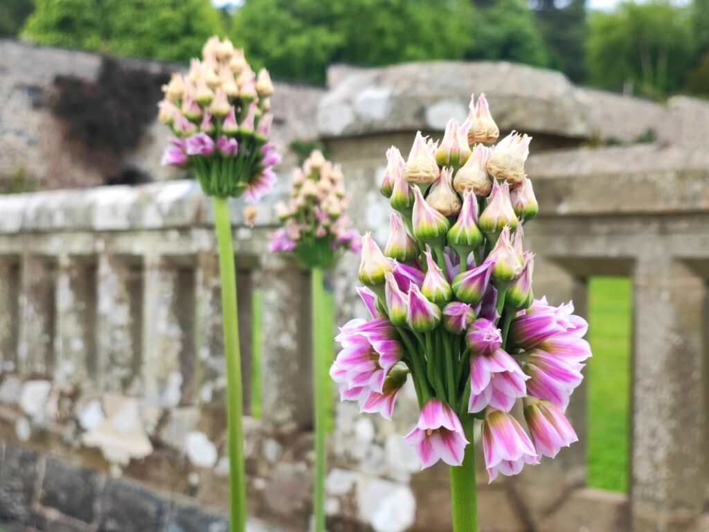Wales Tag 20 – Bodnant Garden
