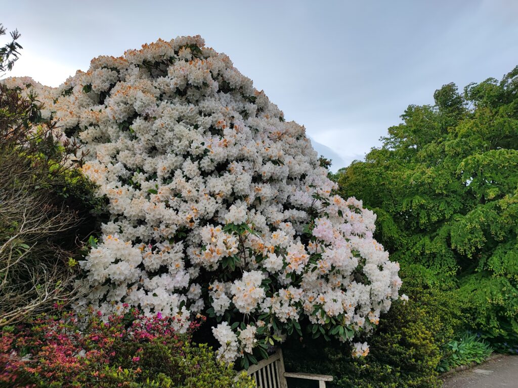 Wales Tag 20 – Bodnant Garden