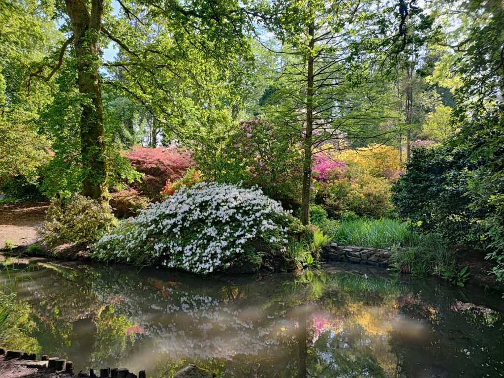 Wales Tag 7 – Clyne Gardens